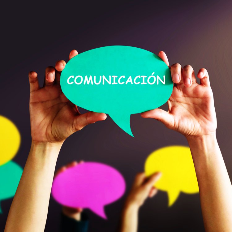 Outdoor Training: Team Building Empresarial para el desarrollo de tus equipos de trabajo